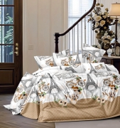 Комплект постельного белья Сатин №с22 Семейный на кнопках