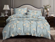 Комплект постельного белья №пл556 Полуторный