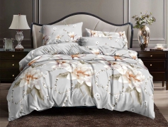 Комплект постельного белья №пл561 Семейный