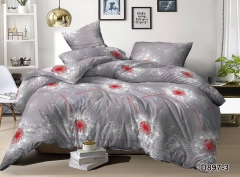Набор постельного белья №пл598 Двойной